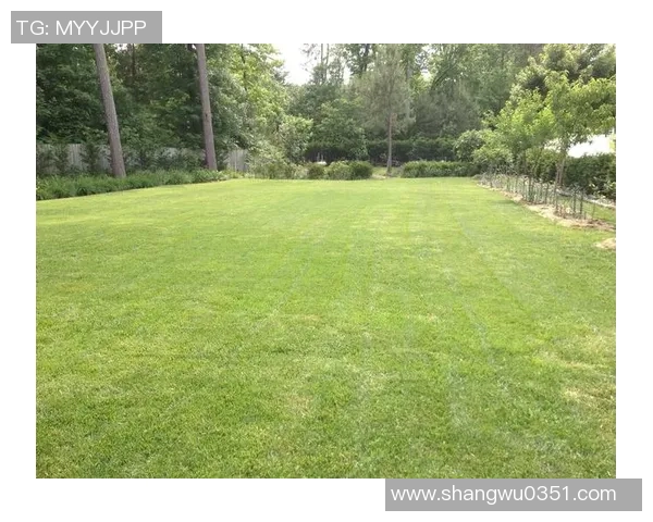 劳塔罗参观绿色科技企业：倡导绿色生活方式