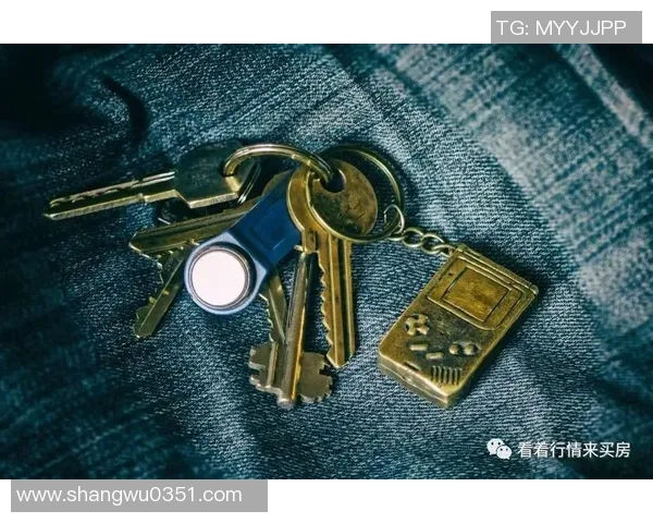 军用钥匙绳的多功能性与实用性探讨及其在军事装备中的重要作用 军用钥匙绳的多功能性与实用性探讨及其在军事装备中的重要作用