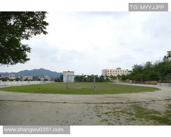 土伦杯的荣耀与挑战：探索青年足球的未来之路与发展潜力