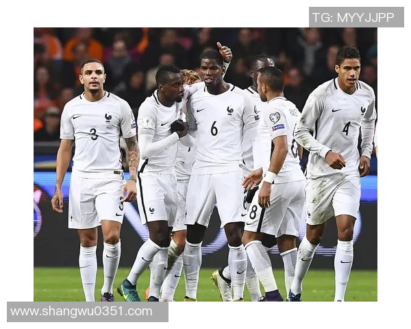 荷兰与法国激战在即投注攻略与分析助你赢得胜利